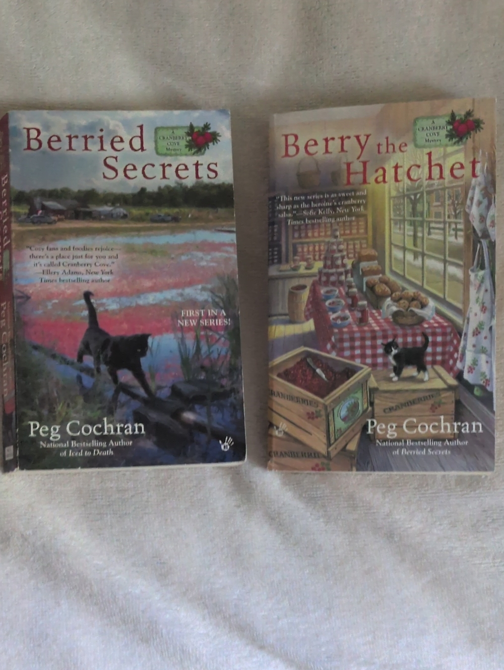Lot Of 2 Cranberry Cove Mystery Novels By Peg Cochran Published 2015 And 2016